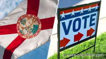 These are the Florida amendments on the November 2026 ballot