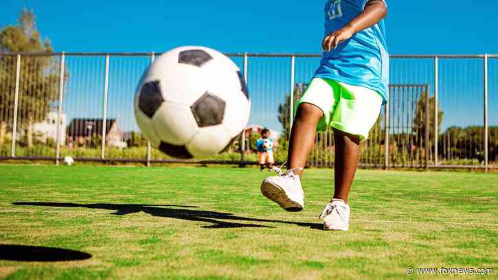 Cops called to Florida youth soccer game to deal with parents of 3-year-old soccer prodigy
