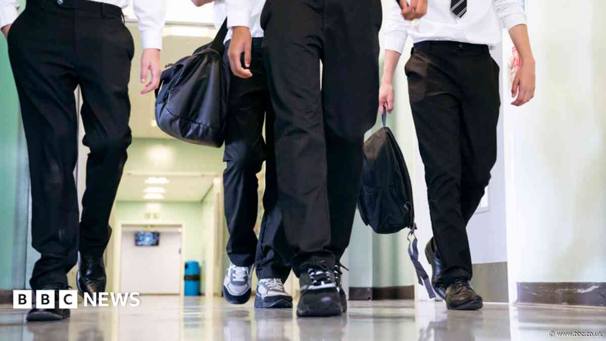 Two teachers struck off for encouraging pupils to fight