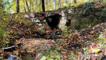 Hundreds of Connecticut culverts assessed for condition and impact to wildlife