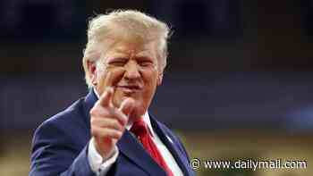Trump offers staggering $1 million reward to Americans who expose voter fraud in bombshell move days before midterms