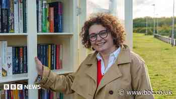 Prisoners make little library book boxes for city