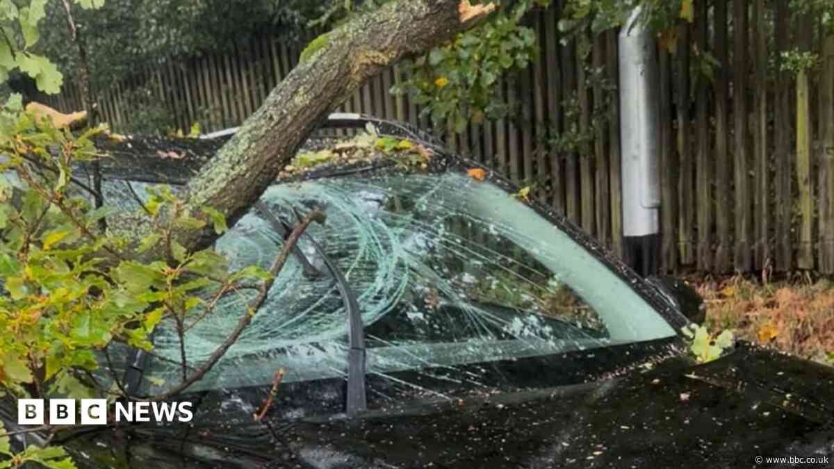 'I could hear tree crunching as it fell onto car during storm'