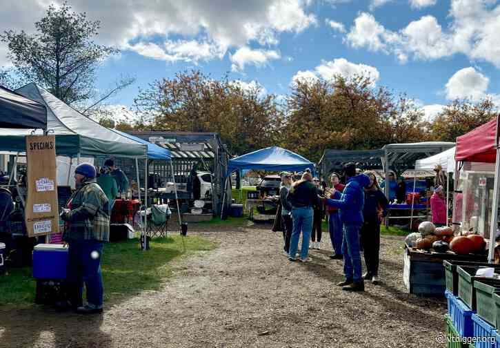 Voter voices from the Upper Valley