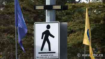 Pedestrian who was run over twice succumbs to injuries