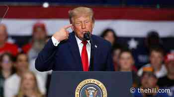 Trump announces $1M rewards for voter fraud tips ahead of midterms