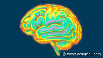 Drugs that cool brain can save patients before they reach A&E
