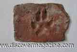 4,000-Year-Old Dog Paw Prints Discovered on a Mud Brick in a Burned Bronze Age House in Turkey