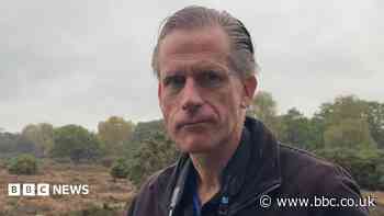 Fire-hit nature reserve 'will never be the same'