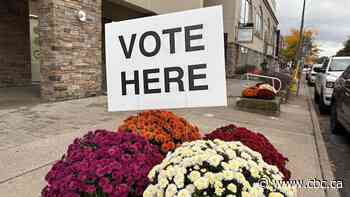 Polls close in Niagara as residents deciding on mayoral, councillor, trustee winners