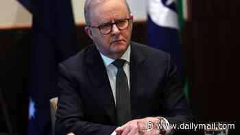 Albo's next legacy disaster could dwarf the Voice debacle - as Labor taxpayers foot a $25billion bill: PETER VAN ONSELEN