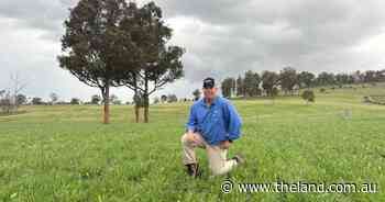 'Sea of green': spirits lift as drought-affected farmers celebrate dust to mud