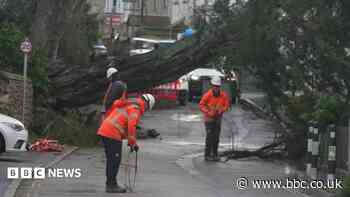 Disruption expected as yellow wind warning issued