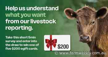 Your chance to win: tell us what matters most in our stud sale reports