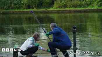 Campaigners say river bacteria levels too high