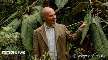 Tributes paid to man killed by falling tree