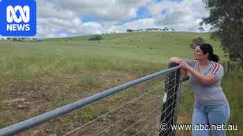 Community opposes proposed data centre near dark sky reserve