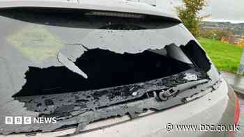 People 'living in fear' after cars attacked