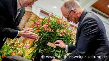 Singapur ehrt Kanzler mit eigener Orchidee: Merz spricht von „großer Ehre“