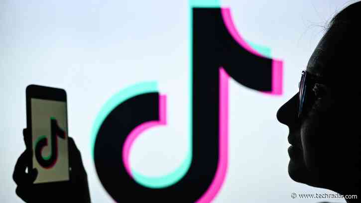 Fake TikTok Shops now fuel one in five phishing blocks — and Black Friday could make it worse