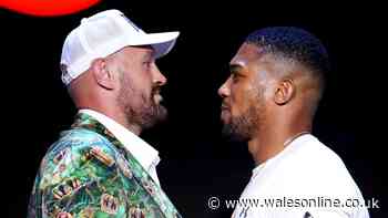 Tyson Fury vs Anthony Joshua ticket prices fall up to £3,000 for Cardiff fight