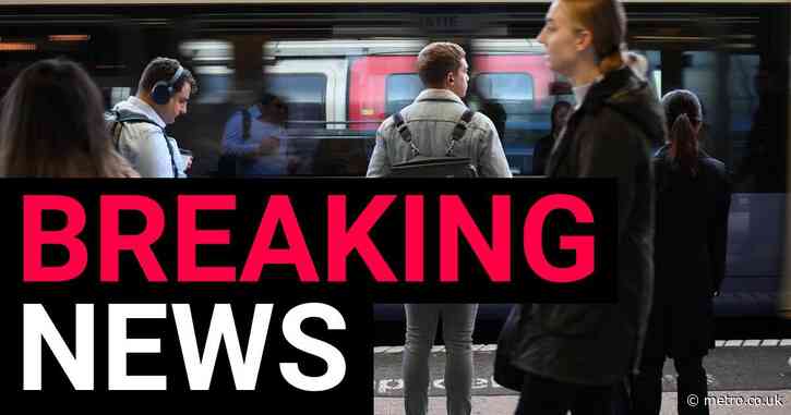 Architect is struck off after calling her neighbours racist during row ...