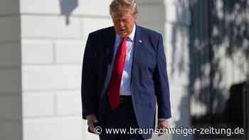 Epstein-Affäre: US-Demokraten fordern Sonderermittler gegen Trump
