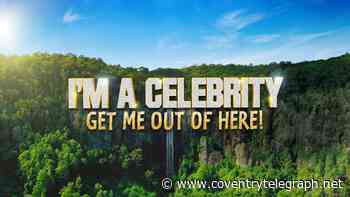 Jesy Nelson reportedly pulls out of I'm A Celebrity to care for twin daughters with SMA