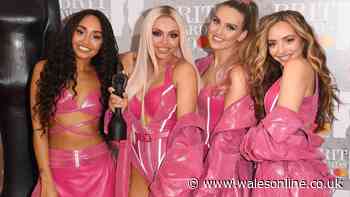 Jesy Nelson pulls out of I'm A Celebrity over twin daughters Ocean and Story's illness