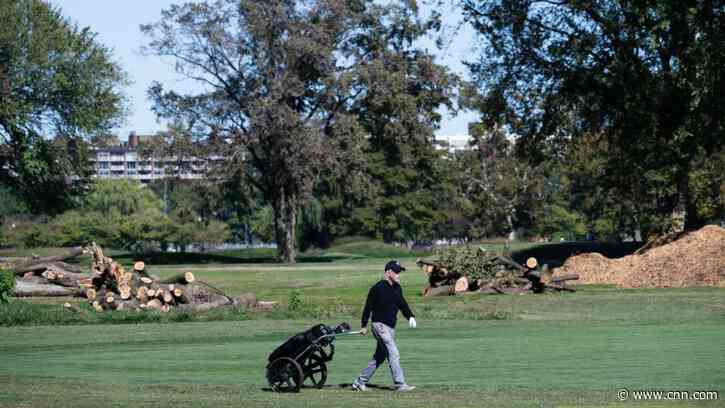 Judge halts tree cutting at Trump's golf course renovation after 400-plus trees removed