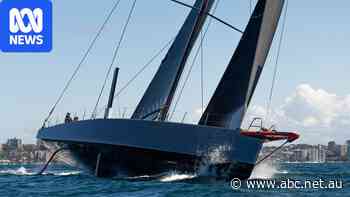 Loyal back to reclaim Sydney to Hobart record