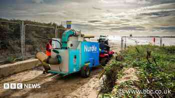 Quads used for clean-up of plastic pellets stolen