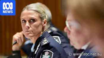 AFP boss warns boys as young as 12 being radicalised at home