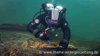 Schiffswrack von 1495: Munitionskiste und Kettenhemd