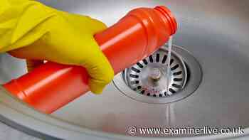 UK households urged to pour vinegar down drains before October