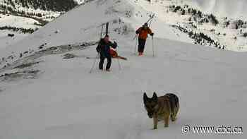 Parks Canada ends search and rescue dog program