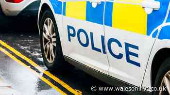 UK Police issue Cassie's Law warning to every driver over 'roadside checks'