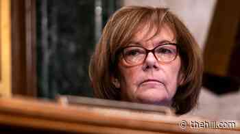Democratic senator: Trump is ‘laying the groundwork’ to steal Minnesota election