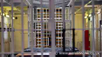 More than third of prison leaver deaths in Wales drug related, study shows