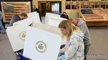 Democrats hold 8-point advantage 1 week before midterms: Survey
