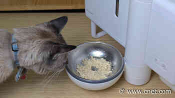 The Future of Wet Cat Food Dispensers Is Here. My Review of Neakasa Riko