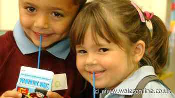 Free milk in Welsh schools under review after half a century
