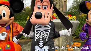Massive kids Halloween event in North East postponed until 2027 as organisers issue statement