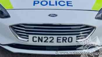 Man jumps up and down on police cars and throws brick through window