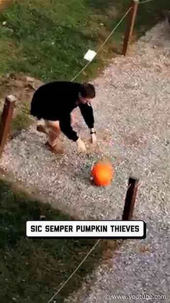pumpkin karma is the only thing i believe in 😩 🤣