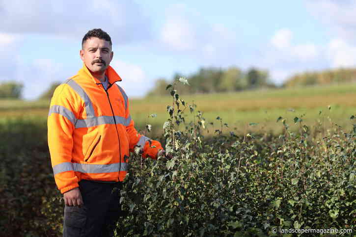 Wyevale Nurseries Launches ‘Awesome Autumn’ Campaign To Champion Autumn Planting