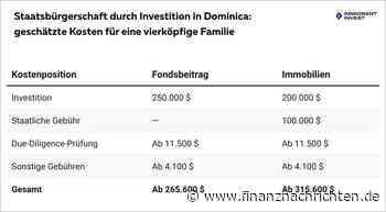 Wozu ein zweiter Reisepass, wenn man bereits einen deutschen hat?