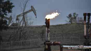 Trump plans to loosen methane rules for low-producing, high-emitting oil wells