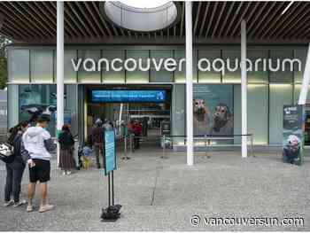 Hurricane, 'beloved' sloth at Vancouver Aquarium, dies