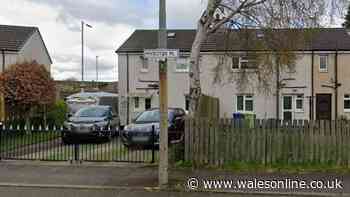 Toddler, 2, rushed to hospital after being mauled by dog at Scottish home